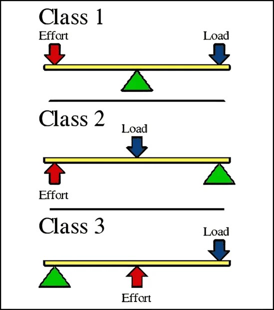 Force Diagram of Shelf