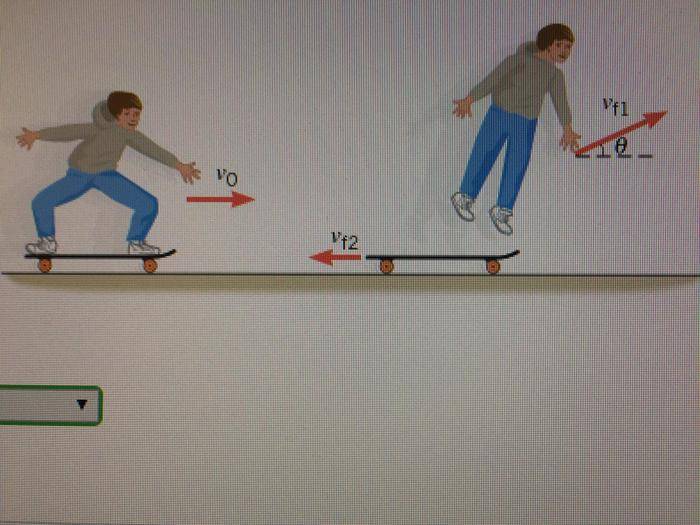 Conservation of momentum of a skateboard Physics Forums