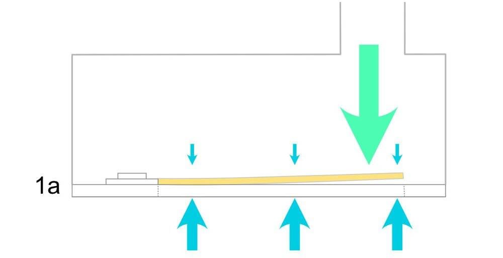 How does a Western free reed work? (musical instruments)