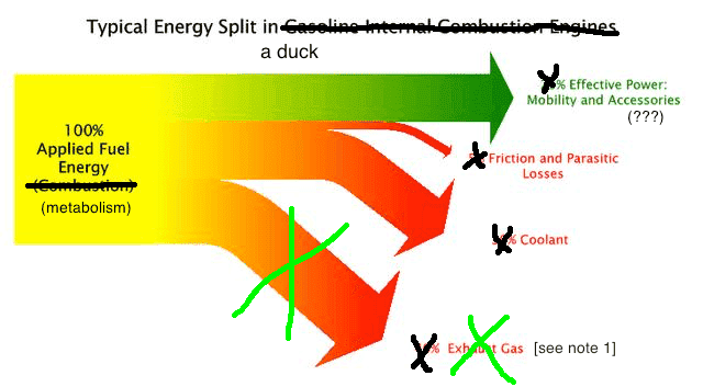 Convert horsepower to duck power | Page 2 | Physics Forums