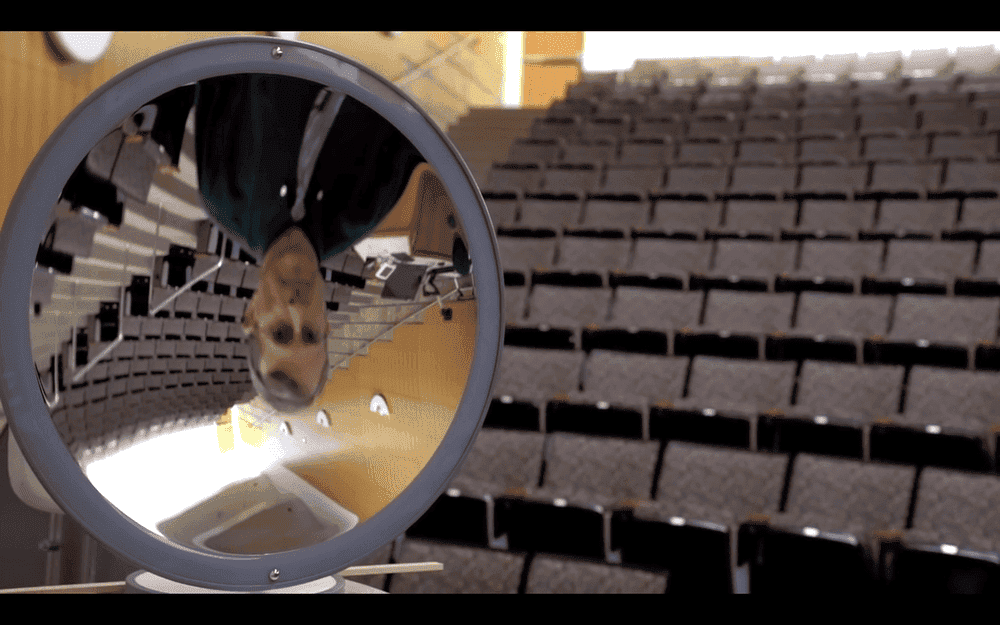 Why can we see our inverted and real image inside a concave mirror when