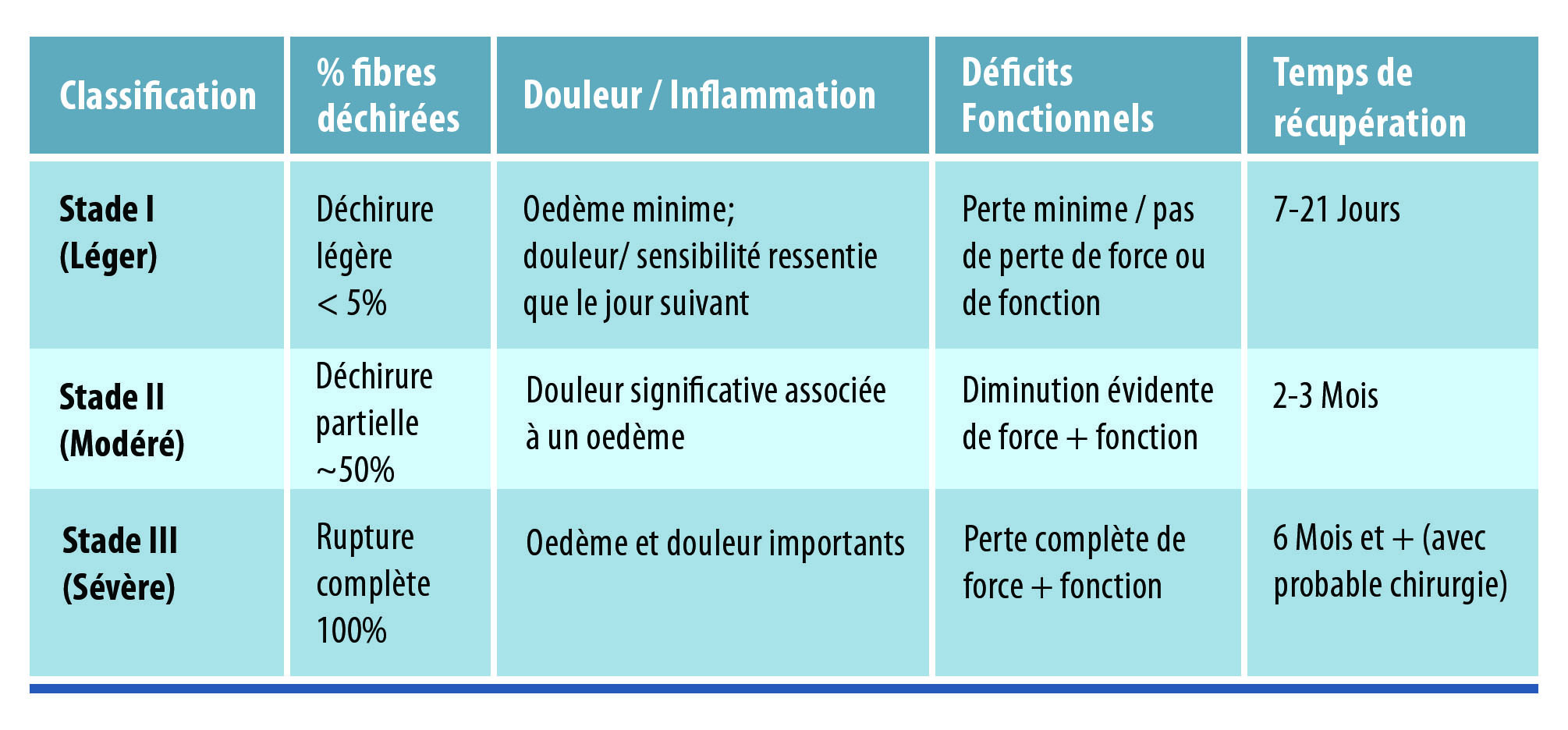 Fautil étirer une lésion musculaire ? Physio Network