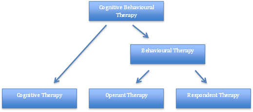 Cognitive Behavioural Therapy Physiopedia