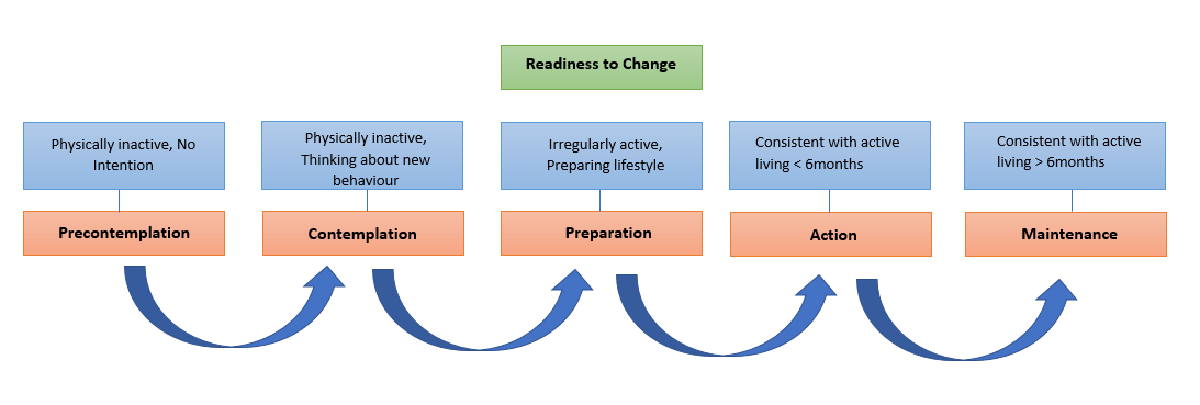 Promoting Active Living in Young People Through Behaviour Change