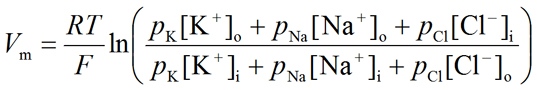 In Real Cells, Multiple Ions Contribute to the Membrane Potential