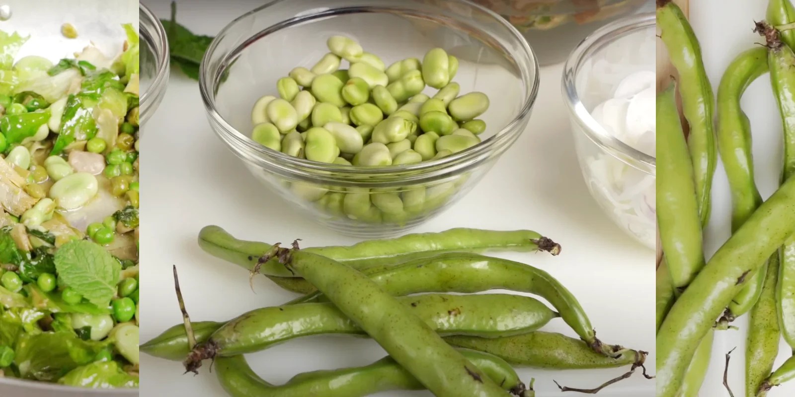 What are FAVA Beans? A PIATTO Guide