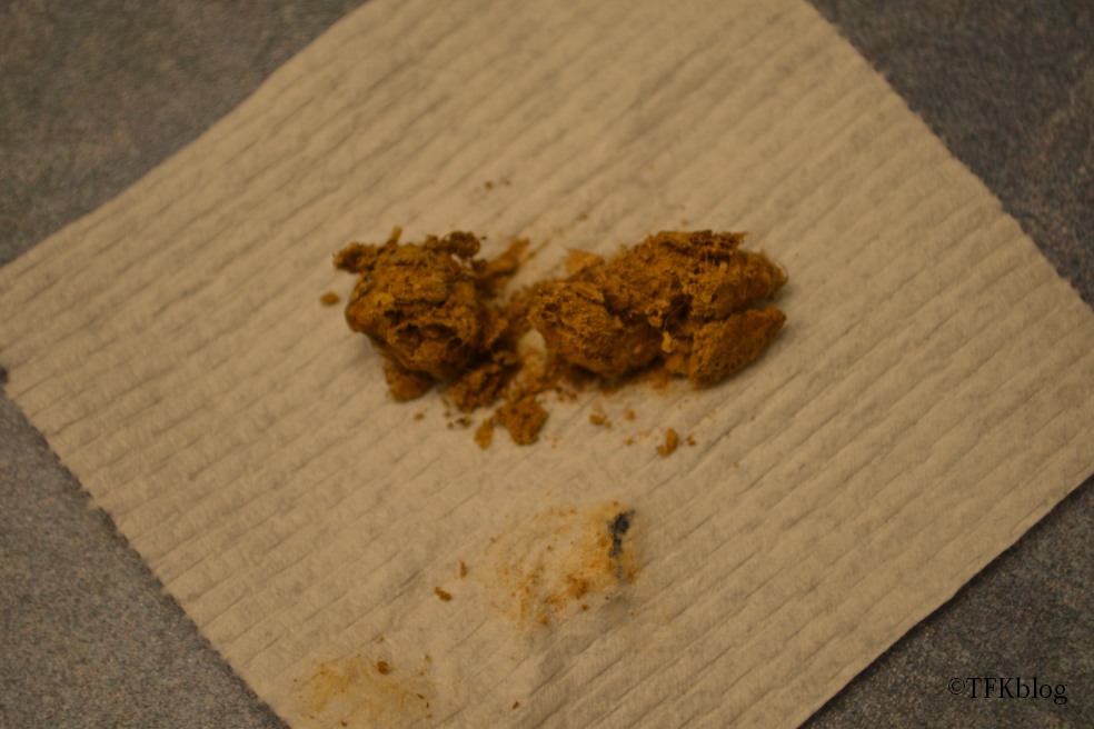 Tails from the Foster Kittens One side effect of feeding your cat