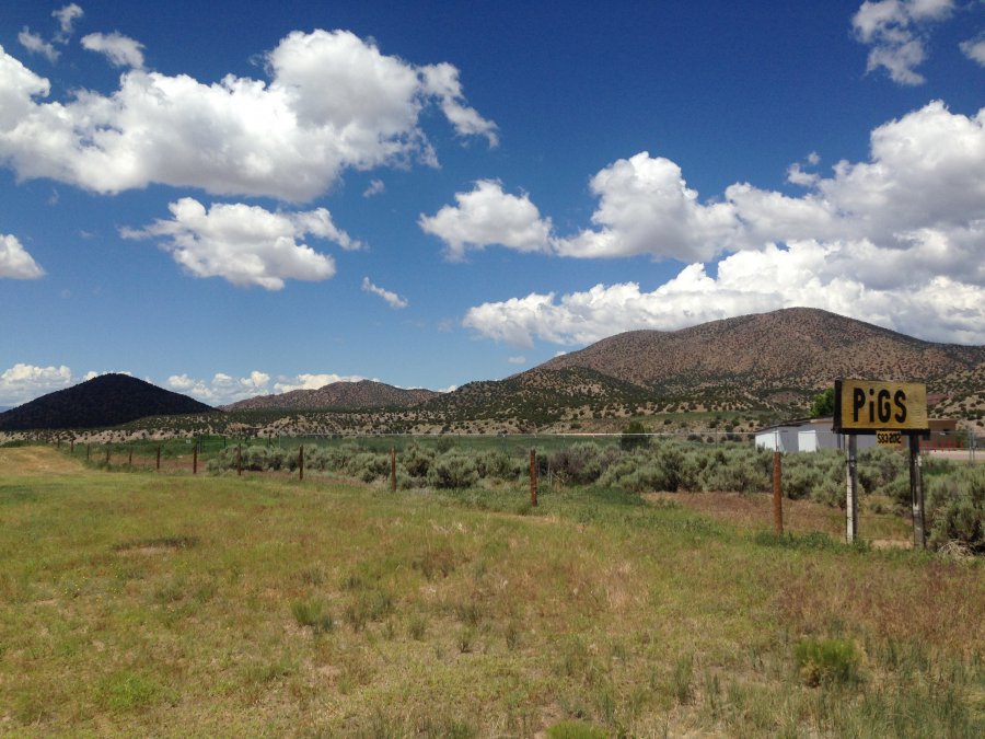 Photo taken at New Mexico 111, La Madera, NM 87539, USA with Apple iPhone 5