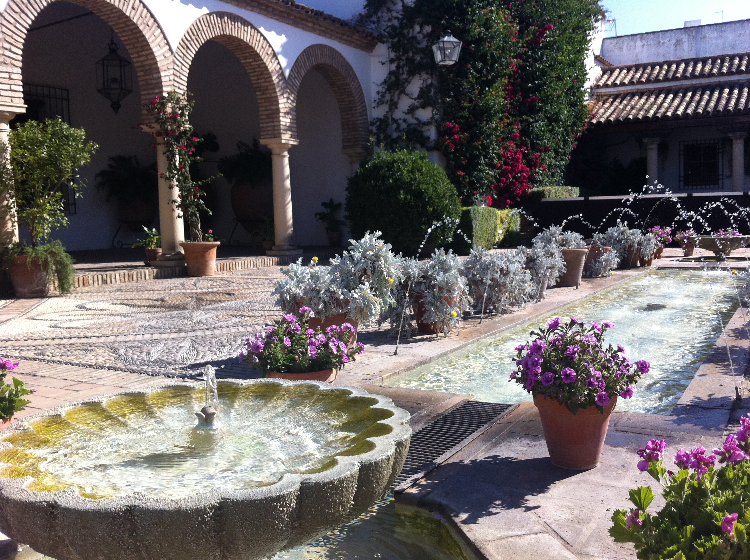 Cordoba Patios & the Palacio de Viana Pretty corners of Spain