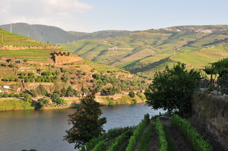River Cruise Along the Douro Take the Boat From Portugal into Spain
