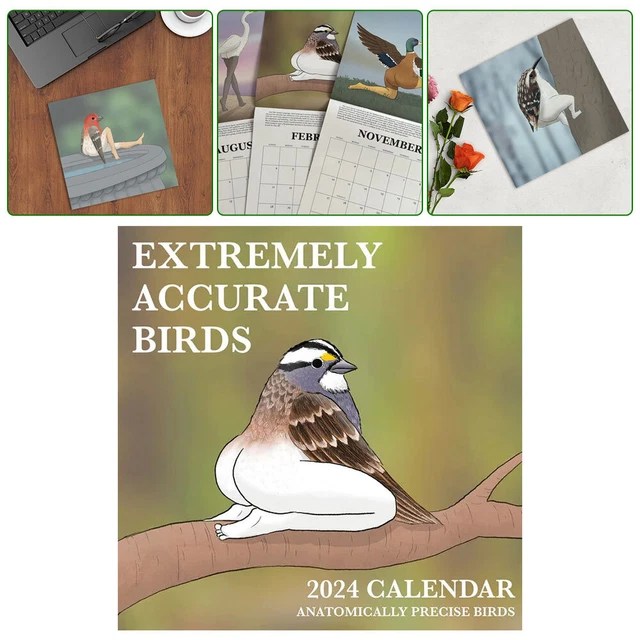 2024 CALENDAR OF EXTREMELY ACCURATE BIRDS 2024 Bird Calendar Wall