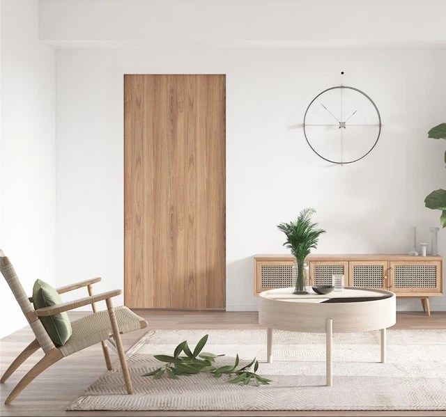 DIYHD POCKET DOOR Frame Kit with TwoWay Soft Close Mechanism for 2X4