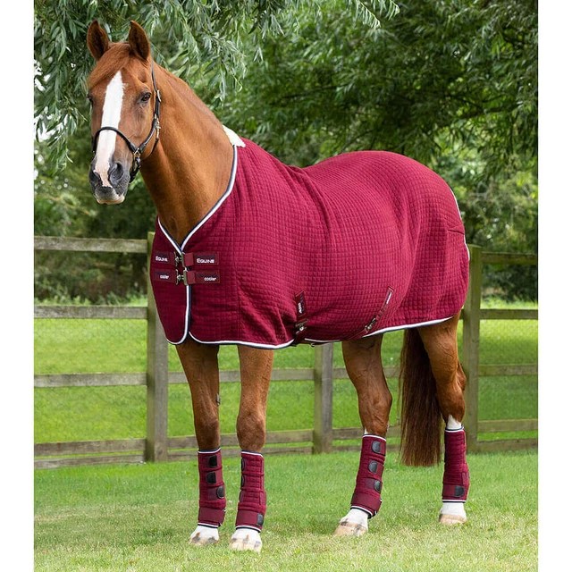 PREMIER EQUINE PREMTEX Cooler Rug £113.95 PicClick UK