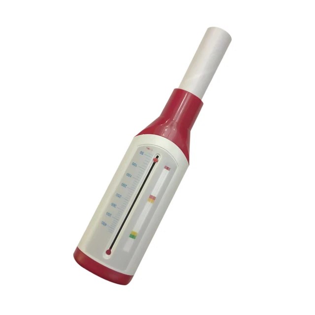 SPIROMETRY MACHINE PEAK Flow Test Spirometry Test Spirometry Device £11