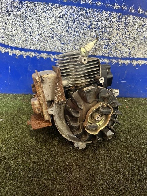 MANTIS 2 STROKE Petrol Tiller Rotovator Engine Assembly Type Sv-4b £28.