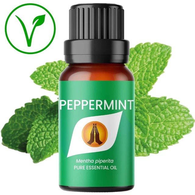 PEPPERMINT ESSENTIAL OIL Mouse Mice Bug Insect Spider Repellent 100