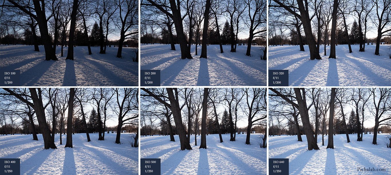 Photography Basics ISO in Photography