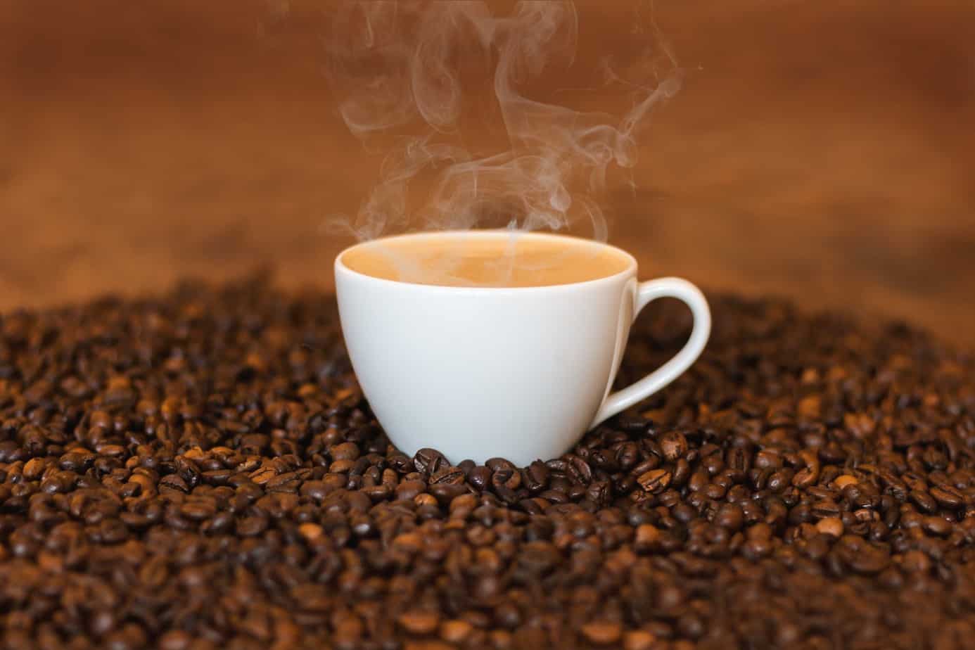 Best Grind and Brew Coffee Maker Machines: Top 5 (Affordable) Picks