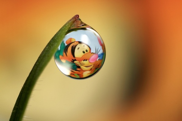 Amazing Water Drop Reflection Photography PickChur