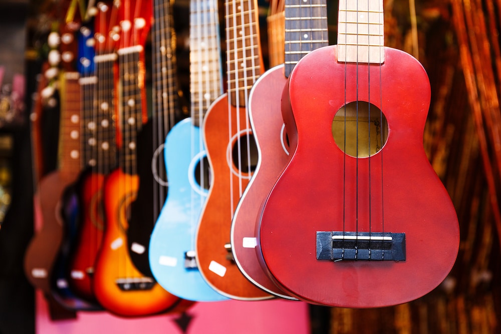 How Much Does a Ukulele Cost and What Should You Look for When Buying a