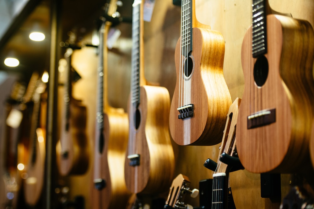 How Much Does a Ukulele Cost and What Should You Look for When Buying a