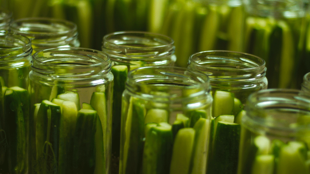 pittsburgh pickle festival 2023 Home Picklesburgh