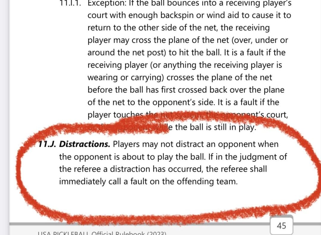 Distraction in Pickleball Navigating the Gray Areas