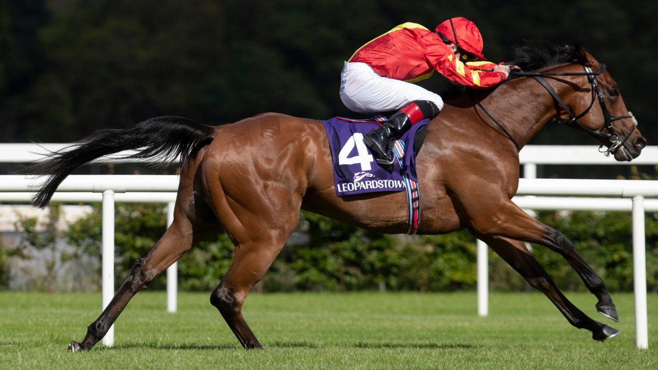 Royal Ascot horse racing picks and predictions for Tuesday Pickswise