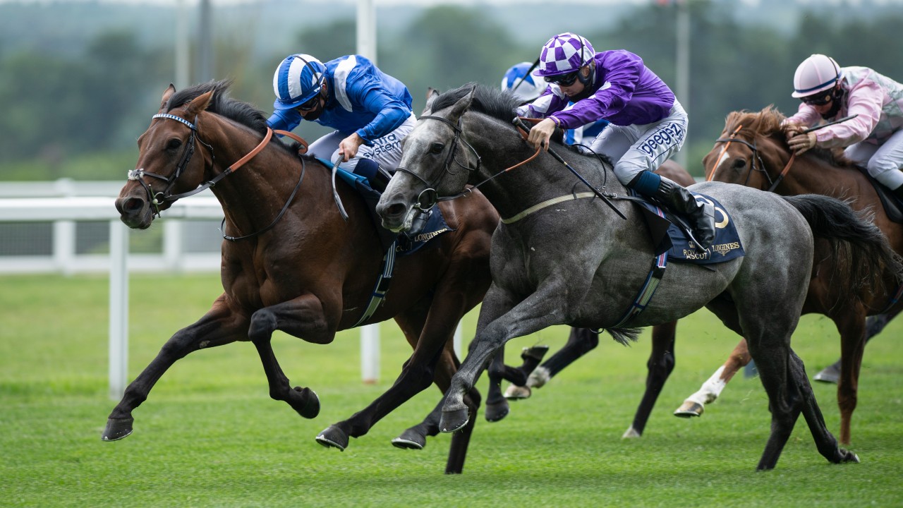 Royal Ascot horse racing picks and predictions for Friday Pickswise