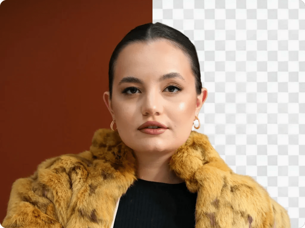 Background Remover Erase Unnecessary BG Instantly PicLumen