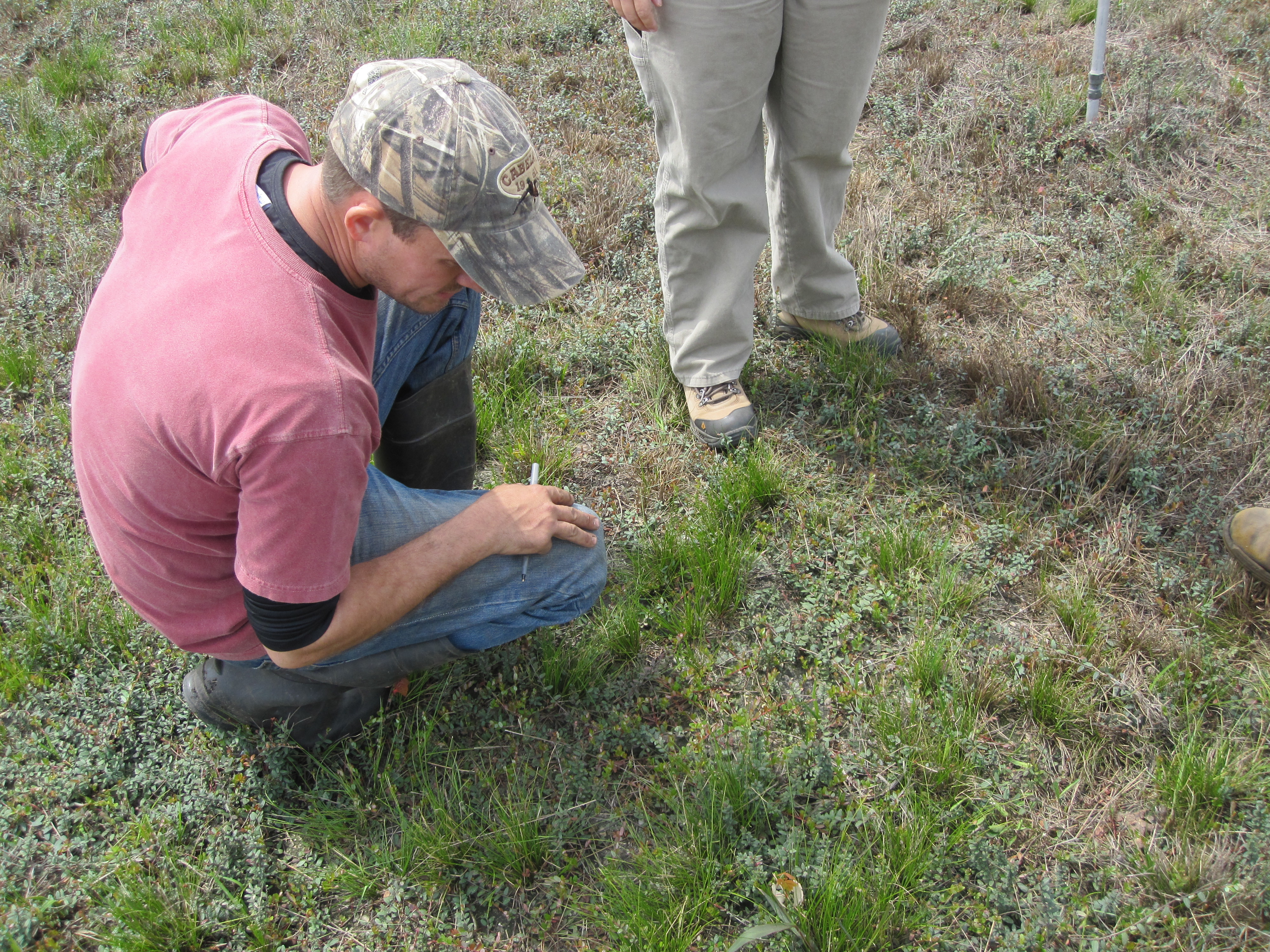 protecting the environment Archives Pine Island Cranberry Co., Inc