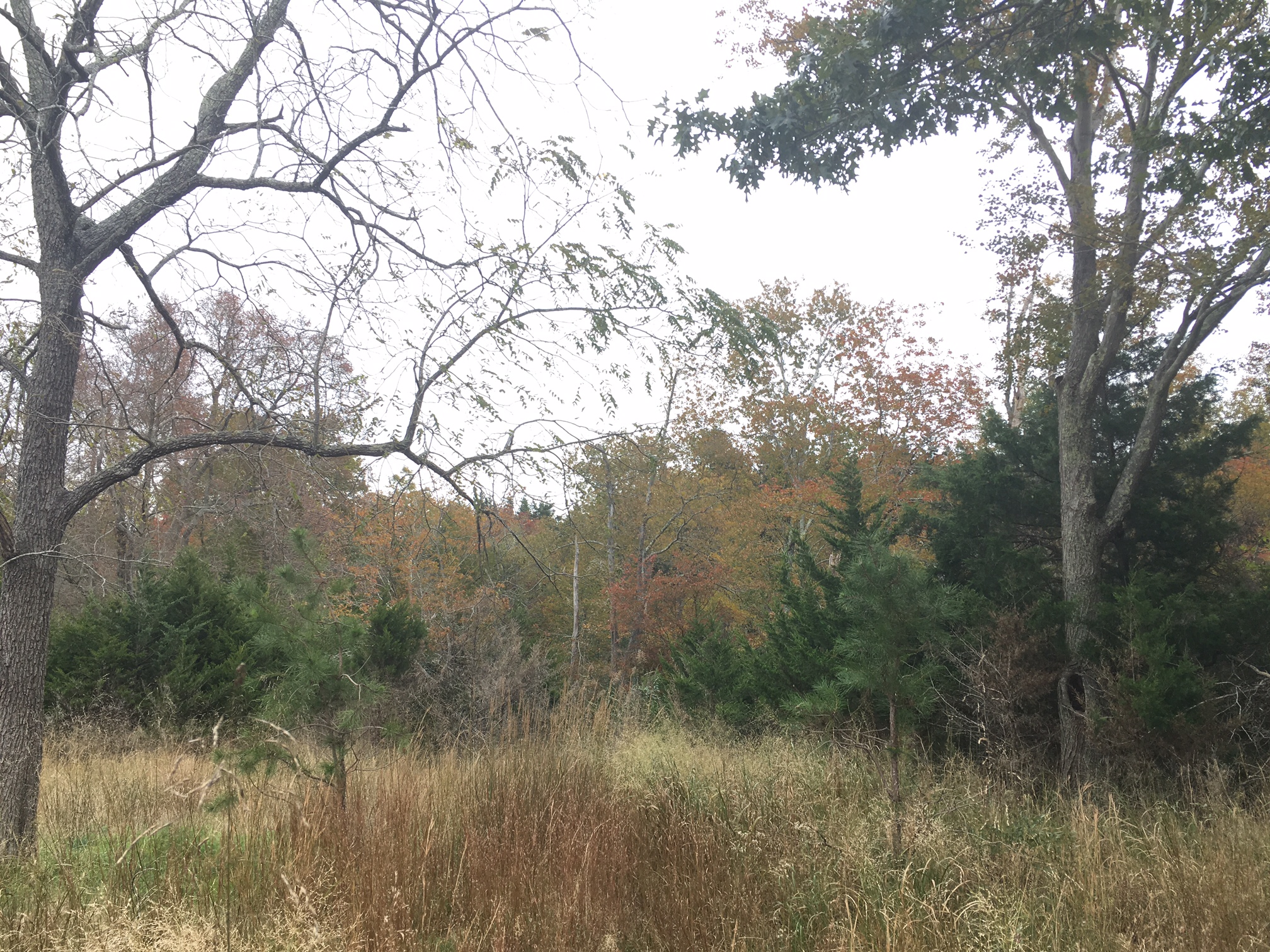 New Jersey Audubon visit Pine Island Cranberry Co., Inc.Pine Island