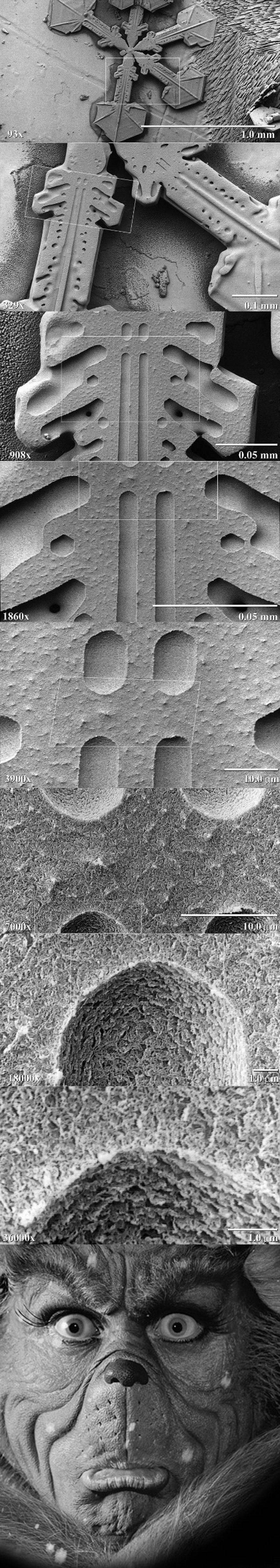 Snowflake under microscope Really funny pictures collection on