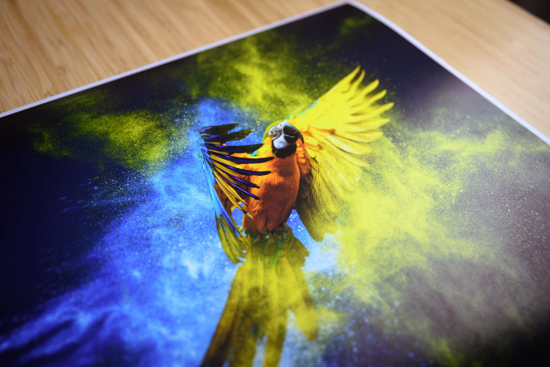 Fine Art Photo Printing