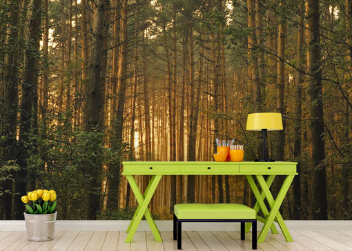 Mural Print - Custom Wall Murals // Wall Printing