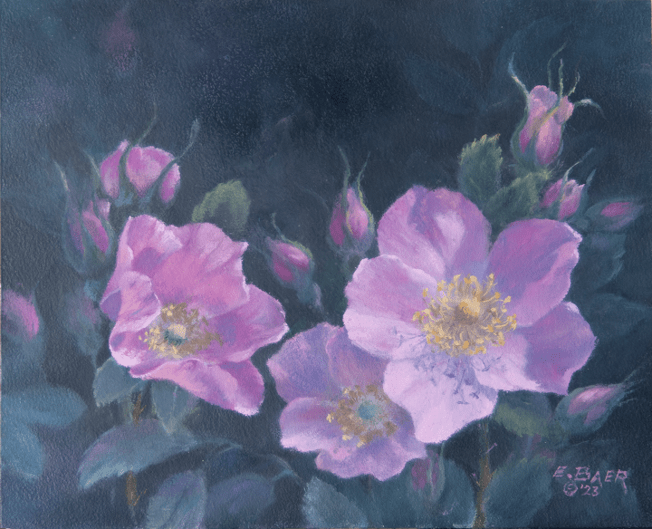 Alberta Wild Roses VII Picture This Framing & Gallery