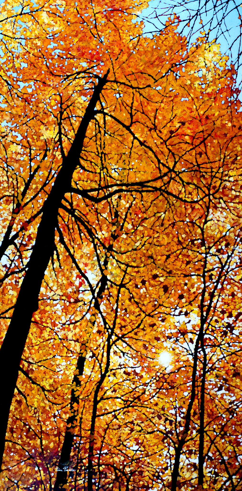 The Artist Picture This Framing & Gallery