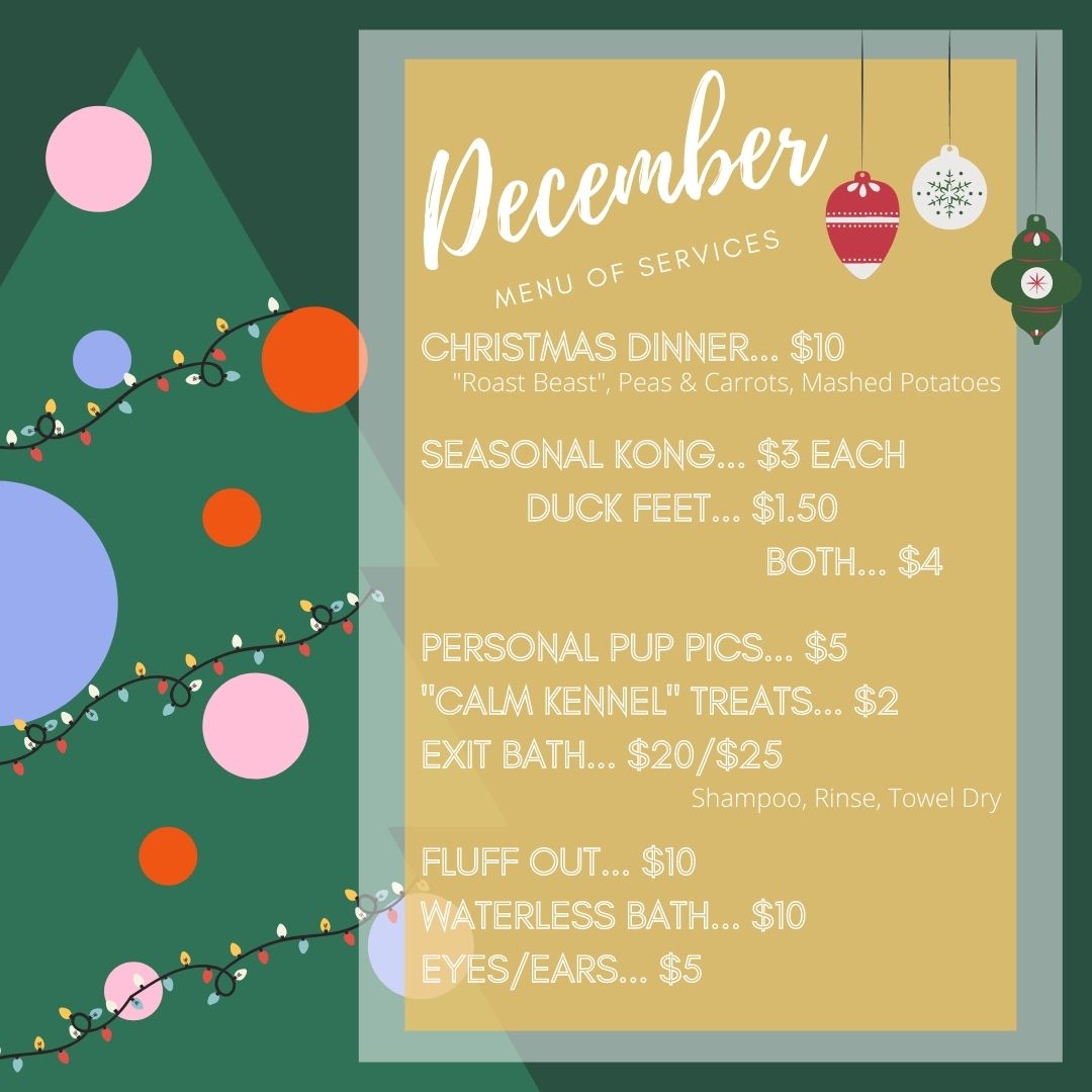 The Dog House Dog Daycare and Boarding