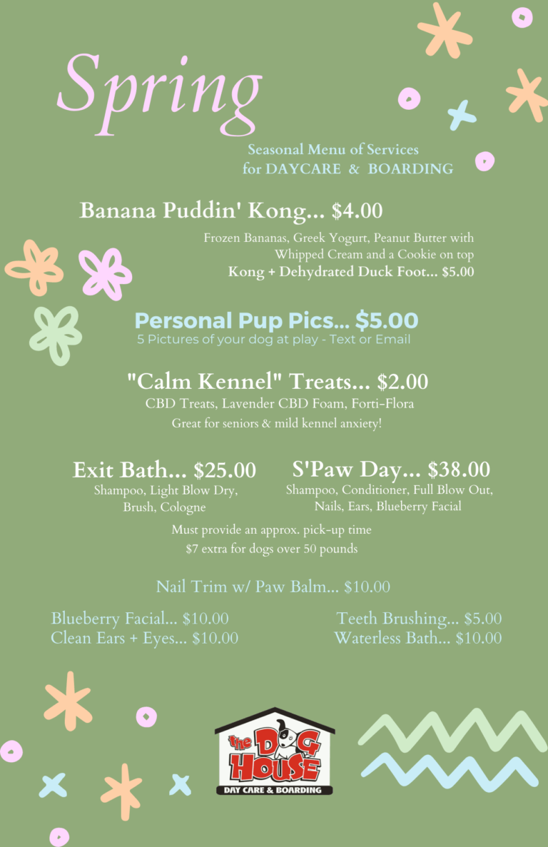 The Dog House Dog Daycare and Boarding