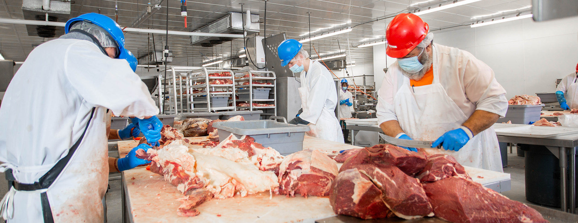 Beef Slaughterhouse Process