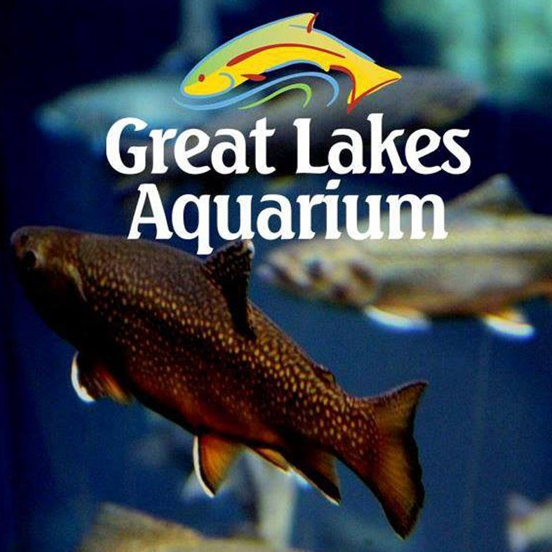 Great Lakes Aquarium Pier B Resort Duluth, Minnesota