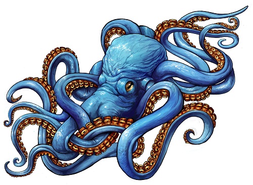 72 Best Octopus Tattoos And Drawings With Images 366_x_500_jpg