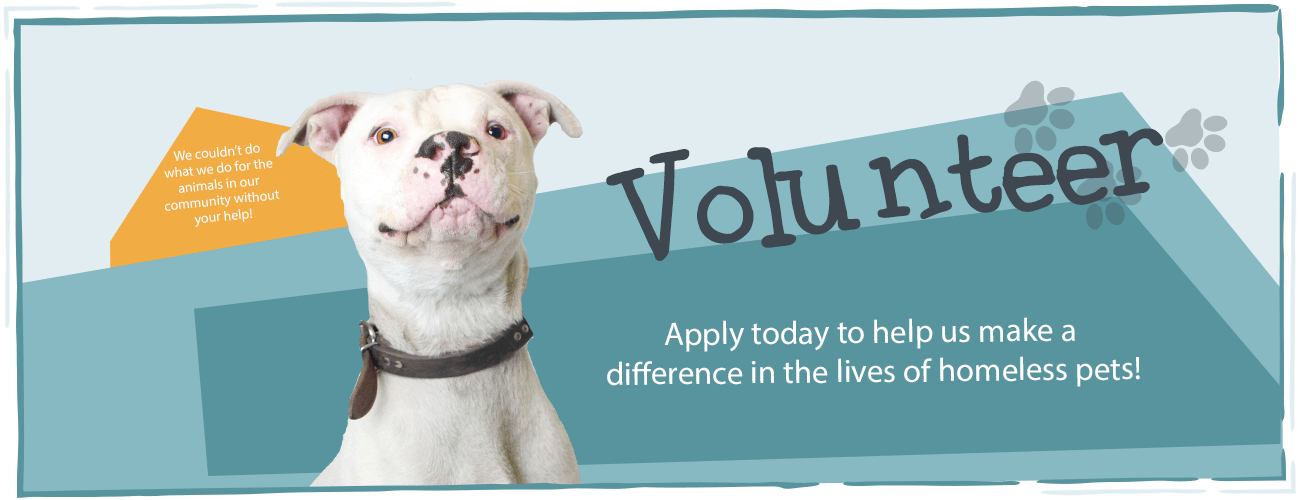 Volunteer for Paws Paws Animal Rescue, Pierre SD