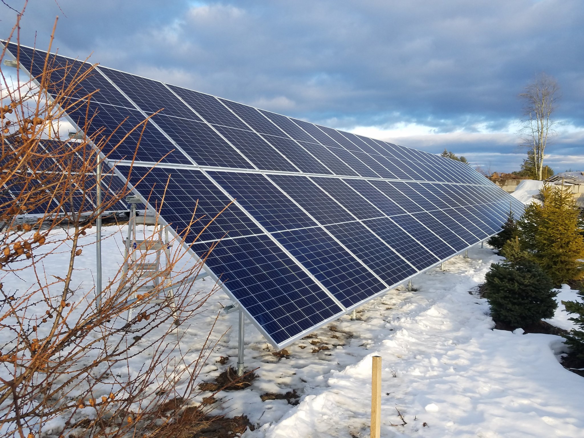 Home Pierson Nurseries, Inc.