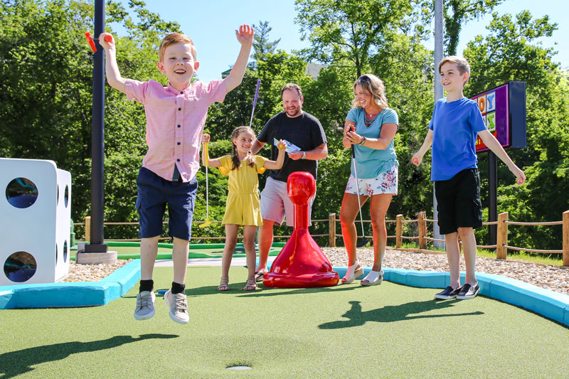 Toy Box Mini Golf Pigeon Tennessee