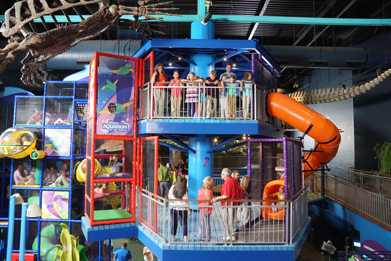 Ripley's Aquarium of the Smokies Gatlinburg & Pigeon Attractions