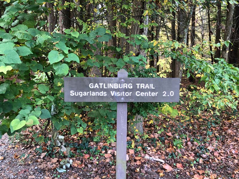 Gatlinburg Trail Smoky Mountain Hikes Easy Hikes in Gatlinburg