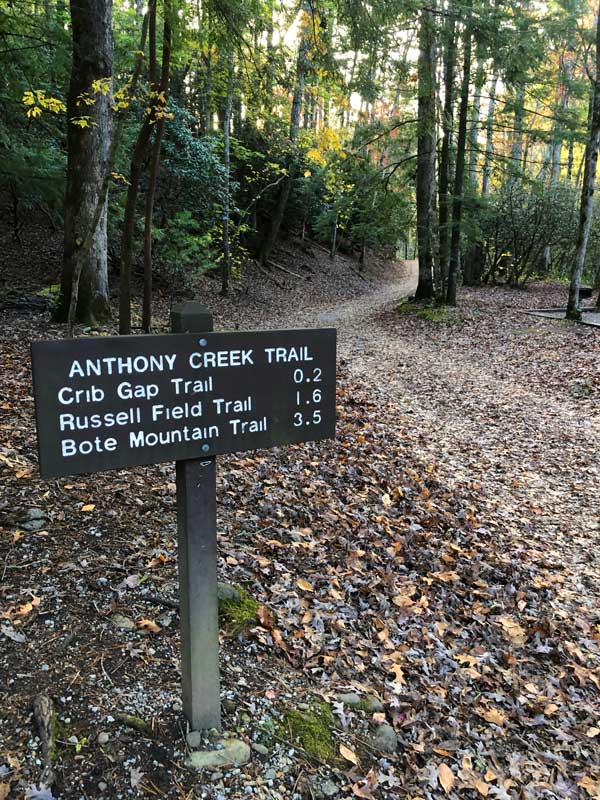 Anthony Creek Trail (Horse Trail) From The Cades Cove Picnic Area