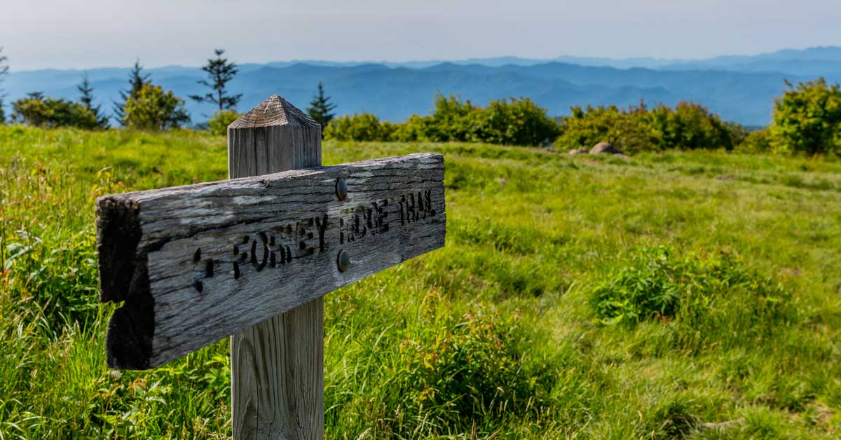 Andrews Bald Hike 1.8 Miles South From Clingmans Dome