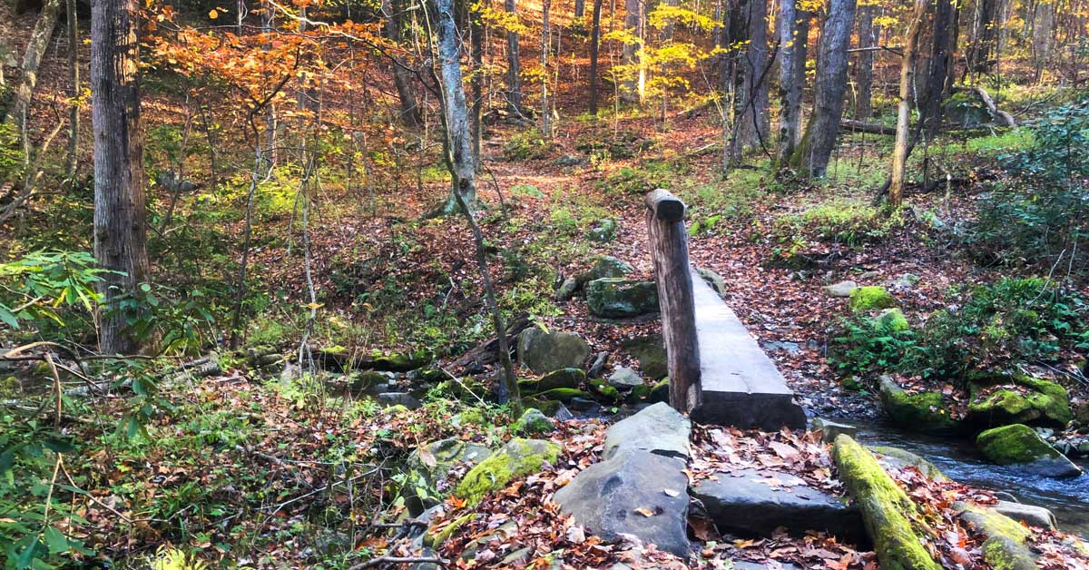 Anthony Creek Trail (Horse Trail) From The Cades Cove Picnic Area